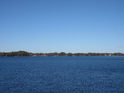 Photo of 18618 Wayne Road, Odessa, FL 33556 (MLS # O6430156)