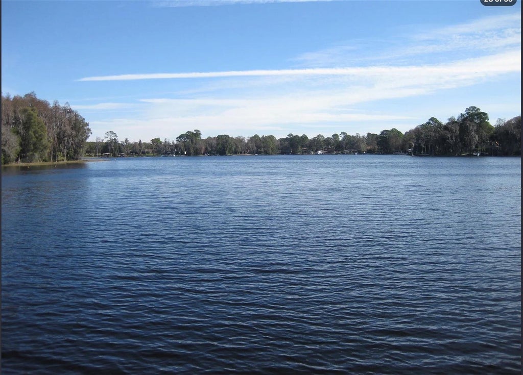 Photo of 18618 Wayne Road, Odessa, FL 33556 (MLS # O6430156)