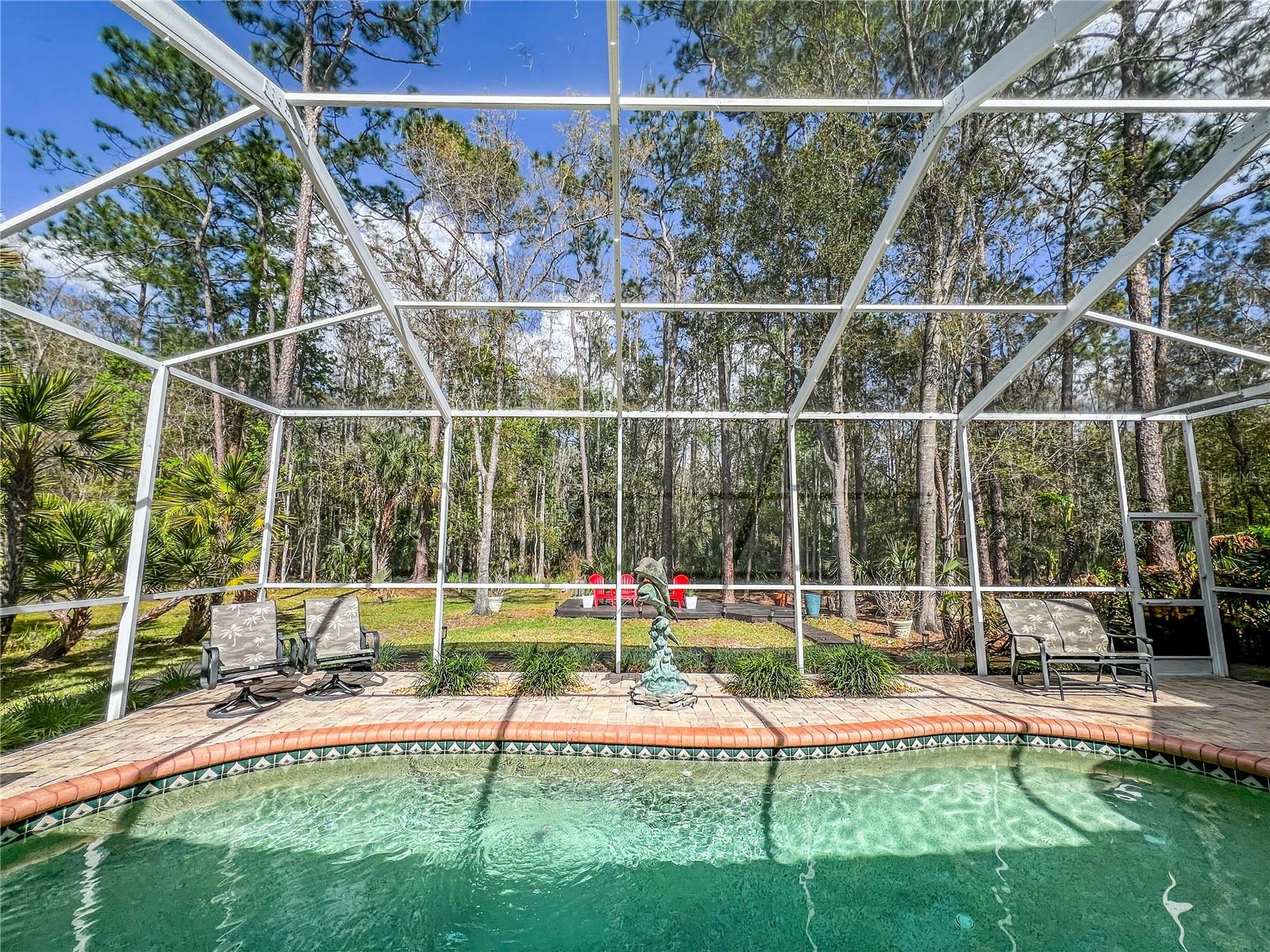 HOMESTEADS SADDLEWOOD - Residential