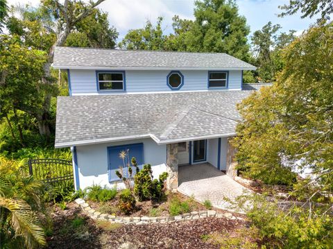 4127 MALLARD DRIVE SAFETY HARBOR FL 34695