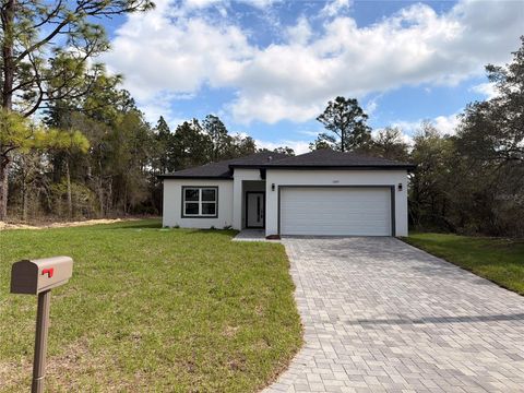 Tiny photo for 11527 N Condor Drive, Dunnellon, FL 34433 (MLS # O6394411)