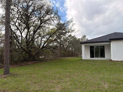 Tiny photo for 11527 N Condor Drive, Dunnellon, FL 34433 (MLS # O6394411)