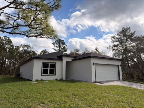 Tiny photo for 11527 N Condor Drive, Dunnellon, FL 34433 (MLS # O6394411)
