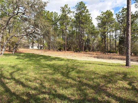 Tiny photo for 11527 N Condor Drive, Dunnellon, FL 34433 (MLS # O6394411)