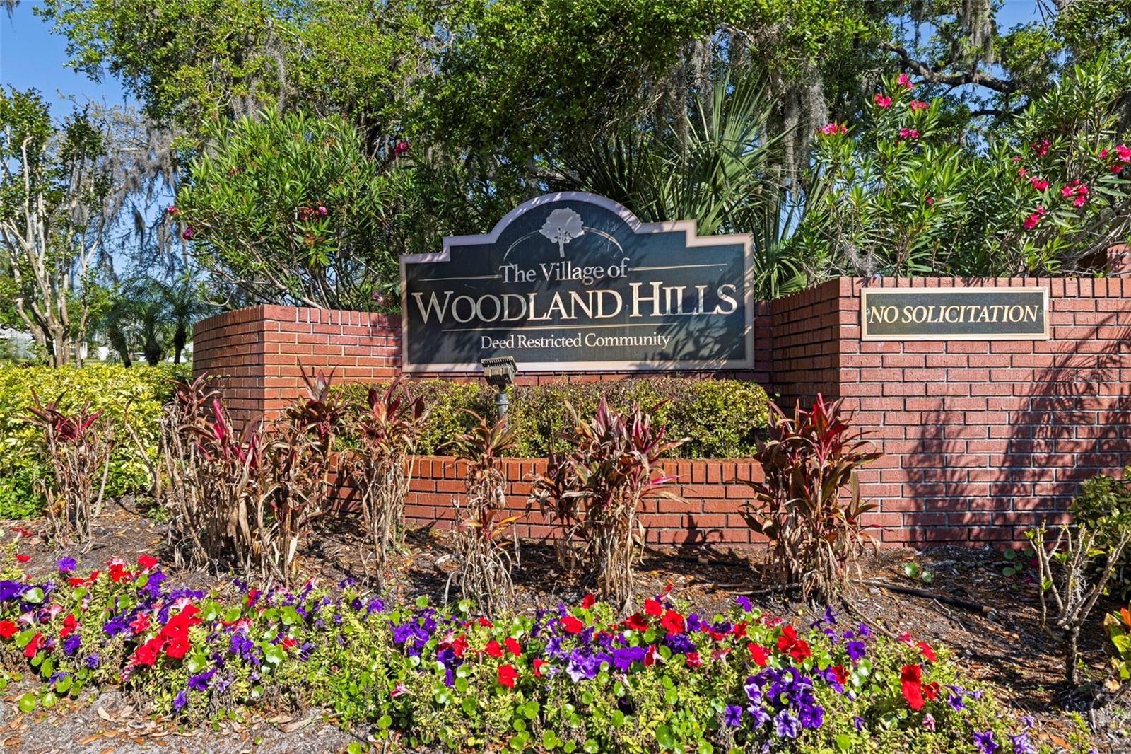 VILLAGE OF WOODLAND HILLS - Residential