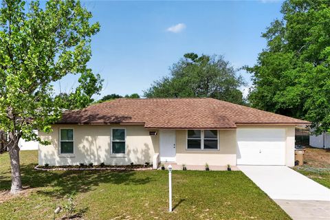 36315 STRATFORD COURT GRAND ISLAND FL 32735