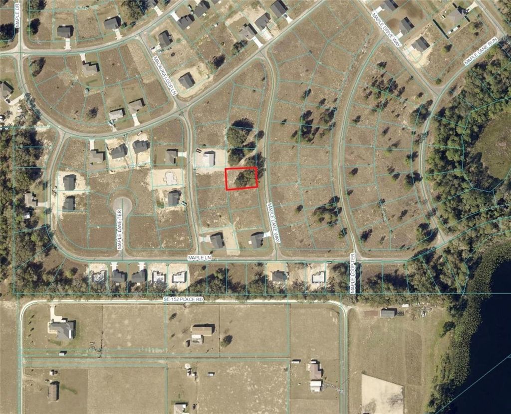 Photo of Maple Lane Way, Ocklawaha, FL 32179 (MLS # OM719080)