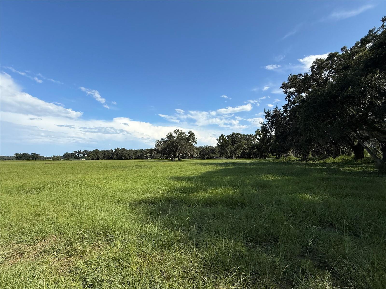 5.23+/- acre lot located in the heart of Webster. With city water and sewer available, this buildable parcel offers the ideal blend of convenience and potential. Whether you're looking to create a private retreat or build a custom home, this property provides the opportunity to do it all. Embrace the charm of small-town living with access to nearby local hotspots and major roadways. Don’t miss your chance to own a piece of Sumter County and bring your vision to life.