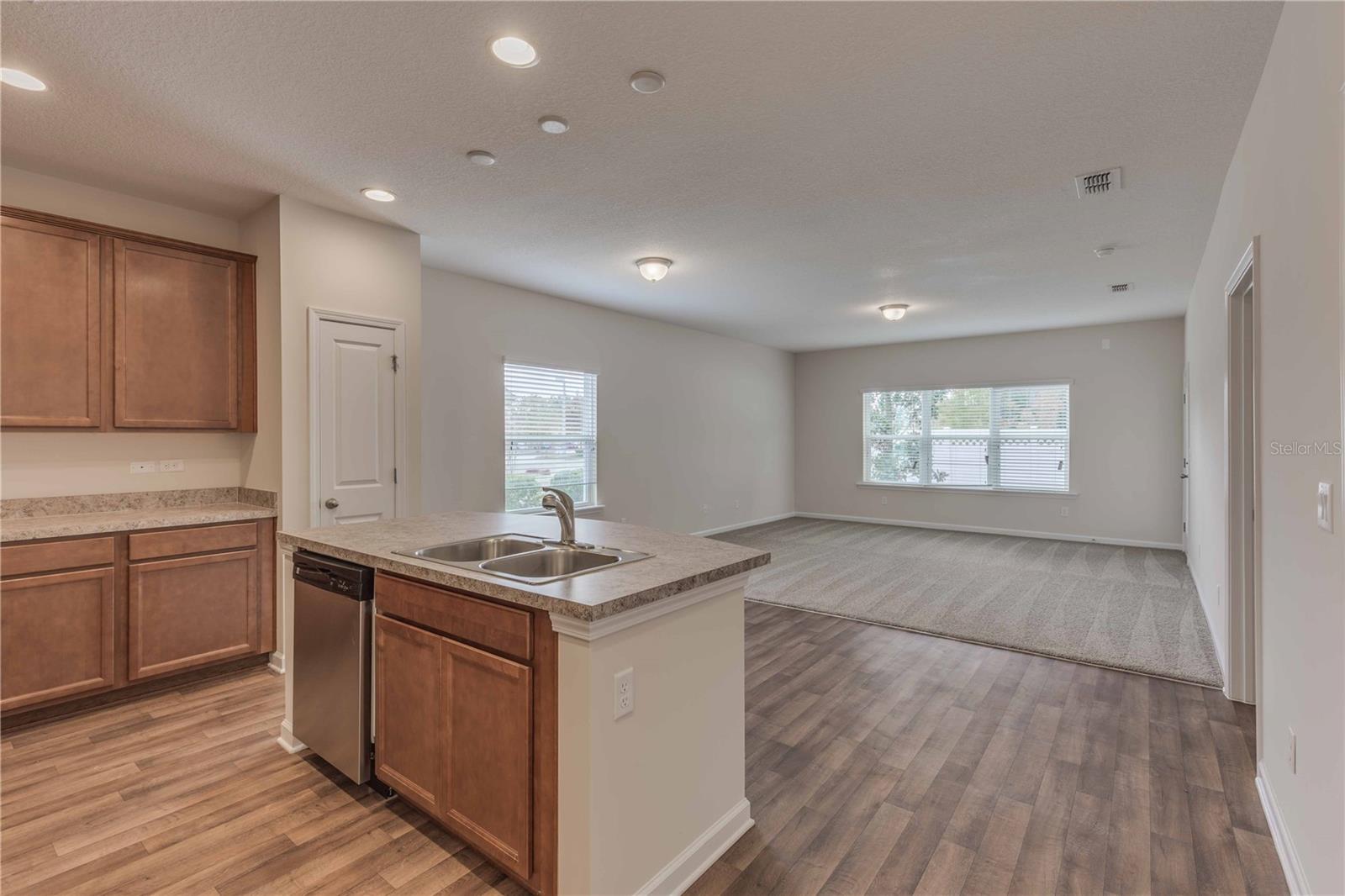 HILLS OF MINNEOLA - Residential