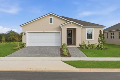 Photo of 420 Free Range Drive, Groveland, FL 34736 (MLS # O6317998)