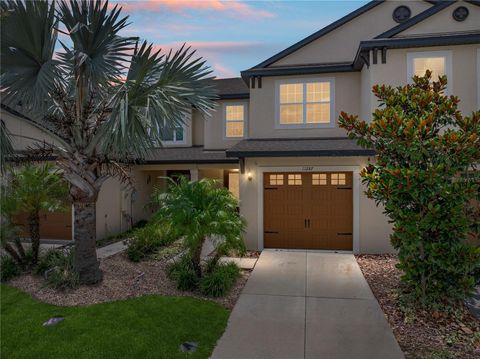 11287 CAY SPRUCE WAY SAN ANTONIO FL 33576