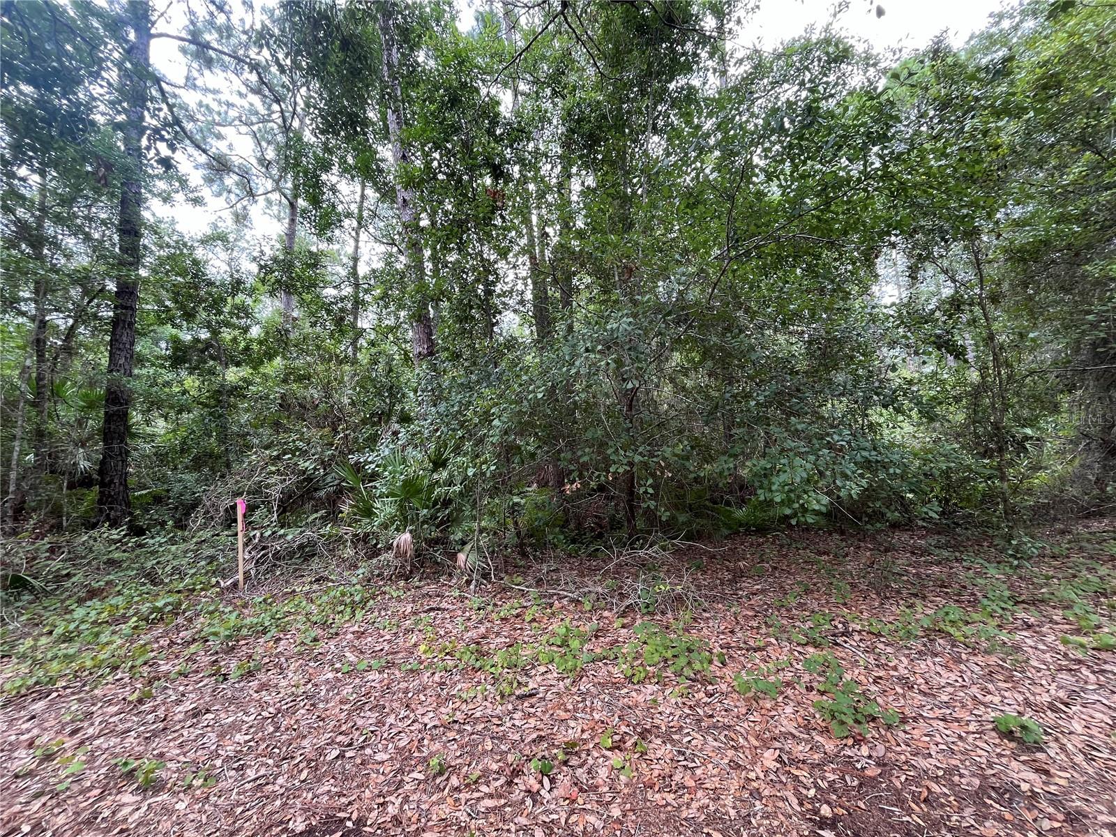 Owner financing is available with only $1,500 down! Don't Miss out on this vacant lot in growing Putnam County. Located within minutes of schools, restaurants, diners, and parks. Looking to purchase property in Florida, look no further. Buying Land in Florida is a solid investment for your future. Minutes from St Johns River, Welaka, and Beautiful Crescent Lake in Crescent City.
