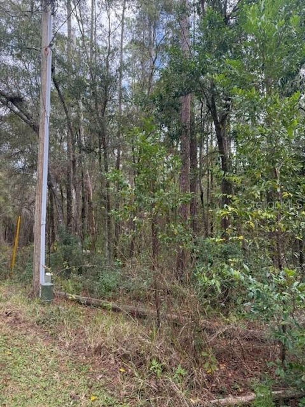 Photo of 1074 W Legion Court, Hernando, FL 34442 (MLS # G5106269)