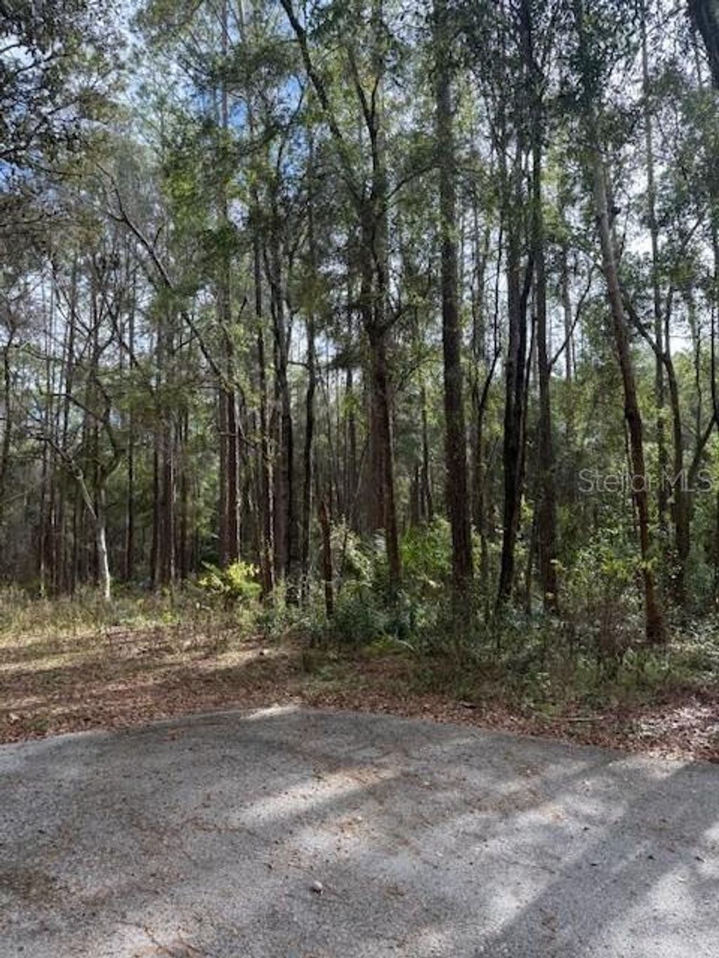 Photo of 1074 W Legion Court, Hernando, FL 34442 (MLS # G5106269)