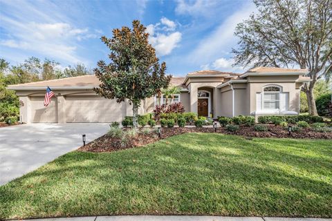 A home in TAMPA