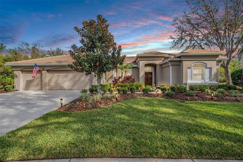 A home in TAMPA