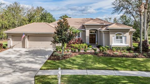 A home in TAMPA