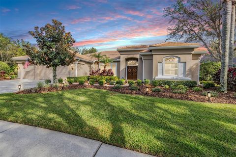 A home in TAMPA