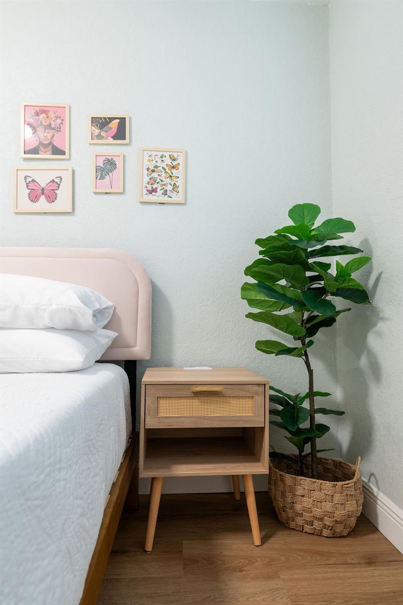 MINNETRISTA - Residential