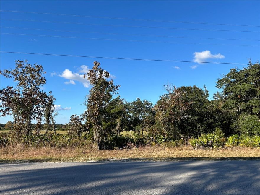 PURE COUNTRY LIVING WITH PAVED ROAD FRONTAGE! This partially cleared 1/4 acre lot is conveniently located in a rural area between Williston and Bronson. Site built or manufactured homes okay. Easy drive to Gainesville or Ocala.