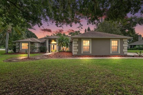 434 OAK VIEW DRIVE TAVARES FL 32778