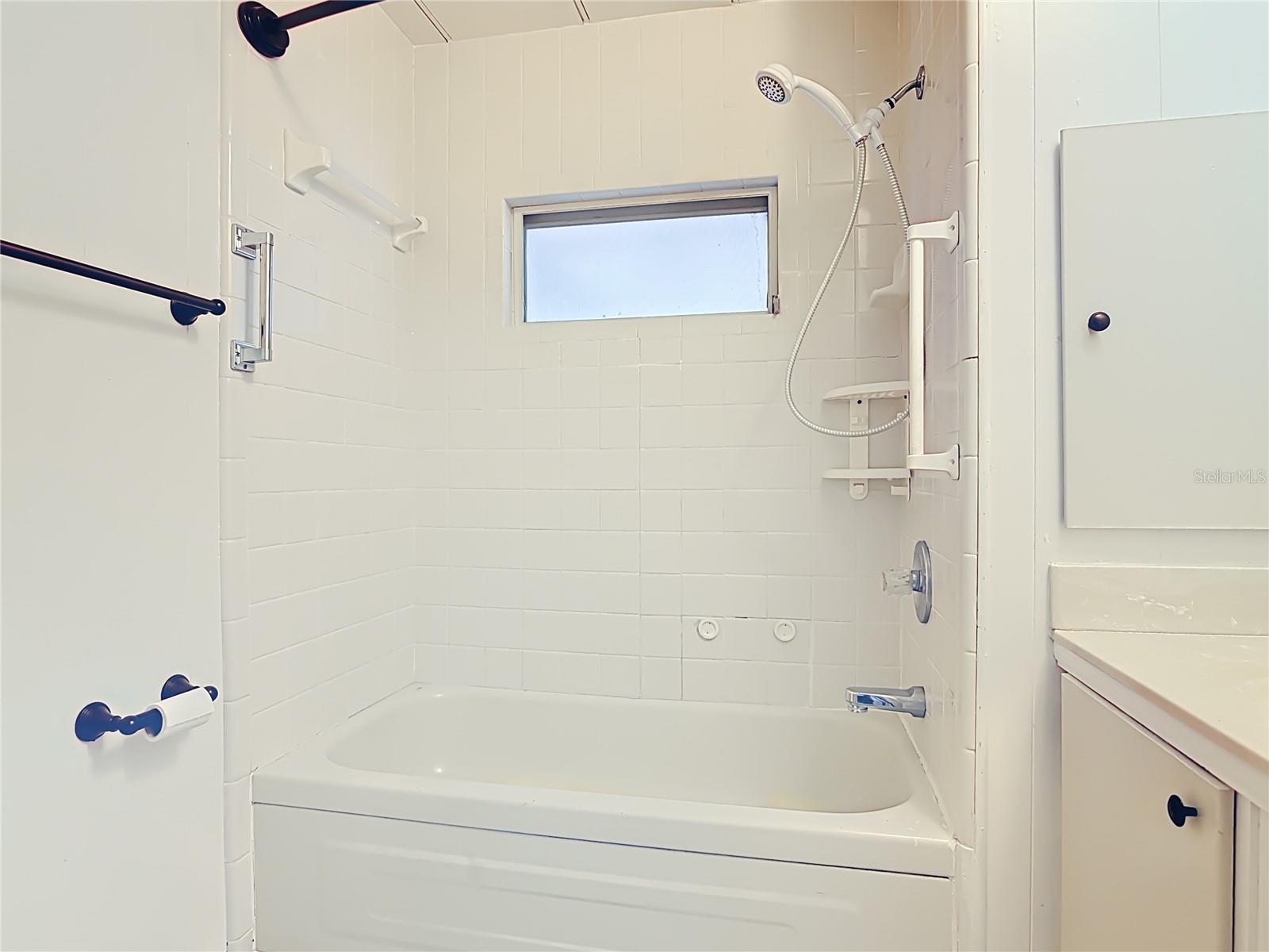 TAVARES LAKE FRANCES ESTATES - Residential