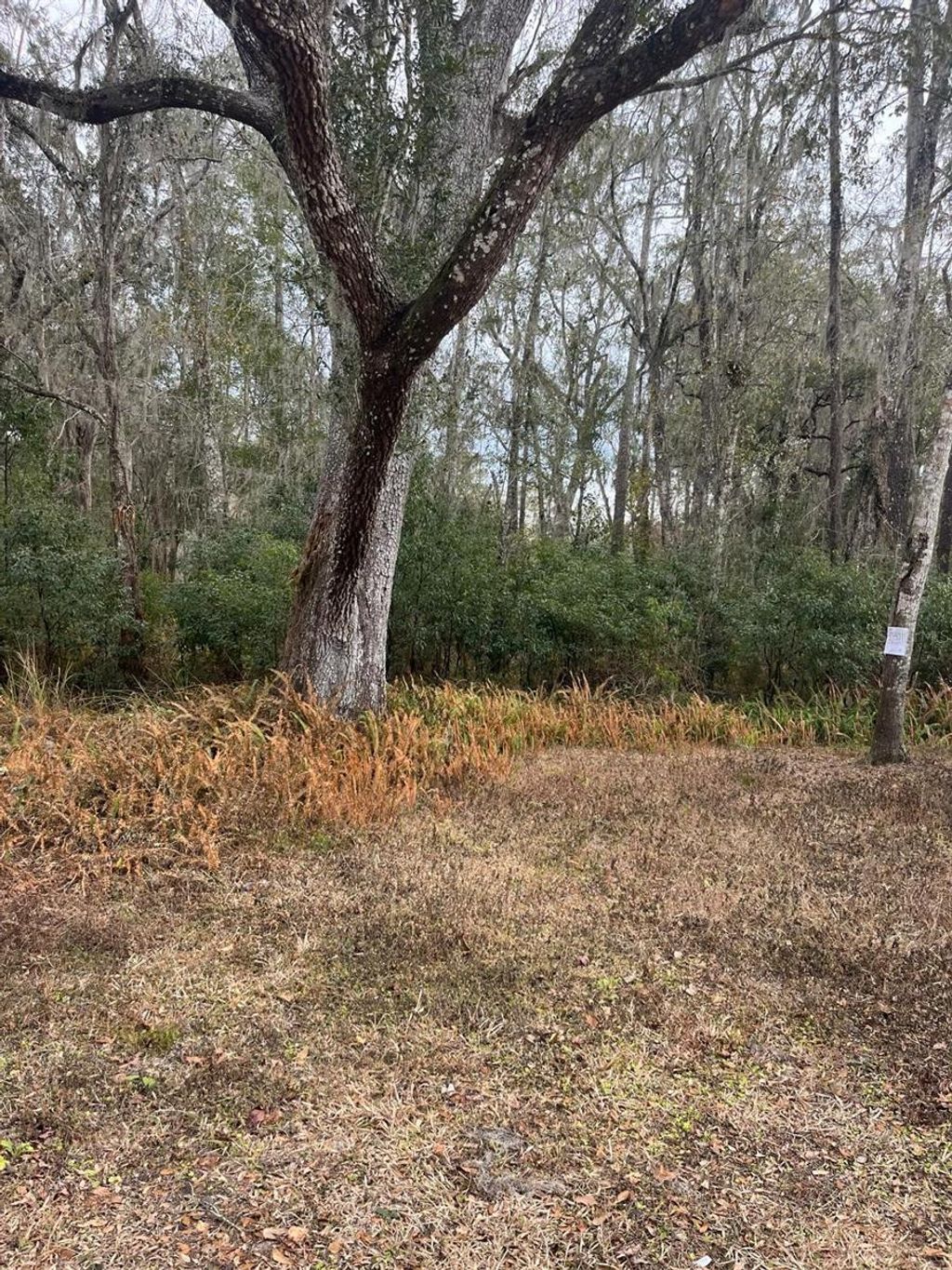 Photo of Ward Avenue, Brooksville, FL 34601 (MLS # S5143895)