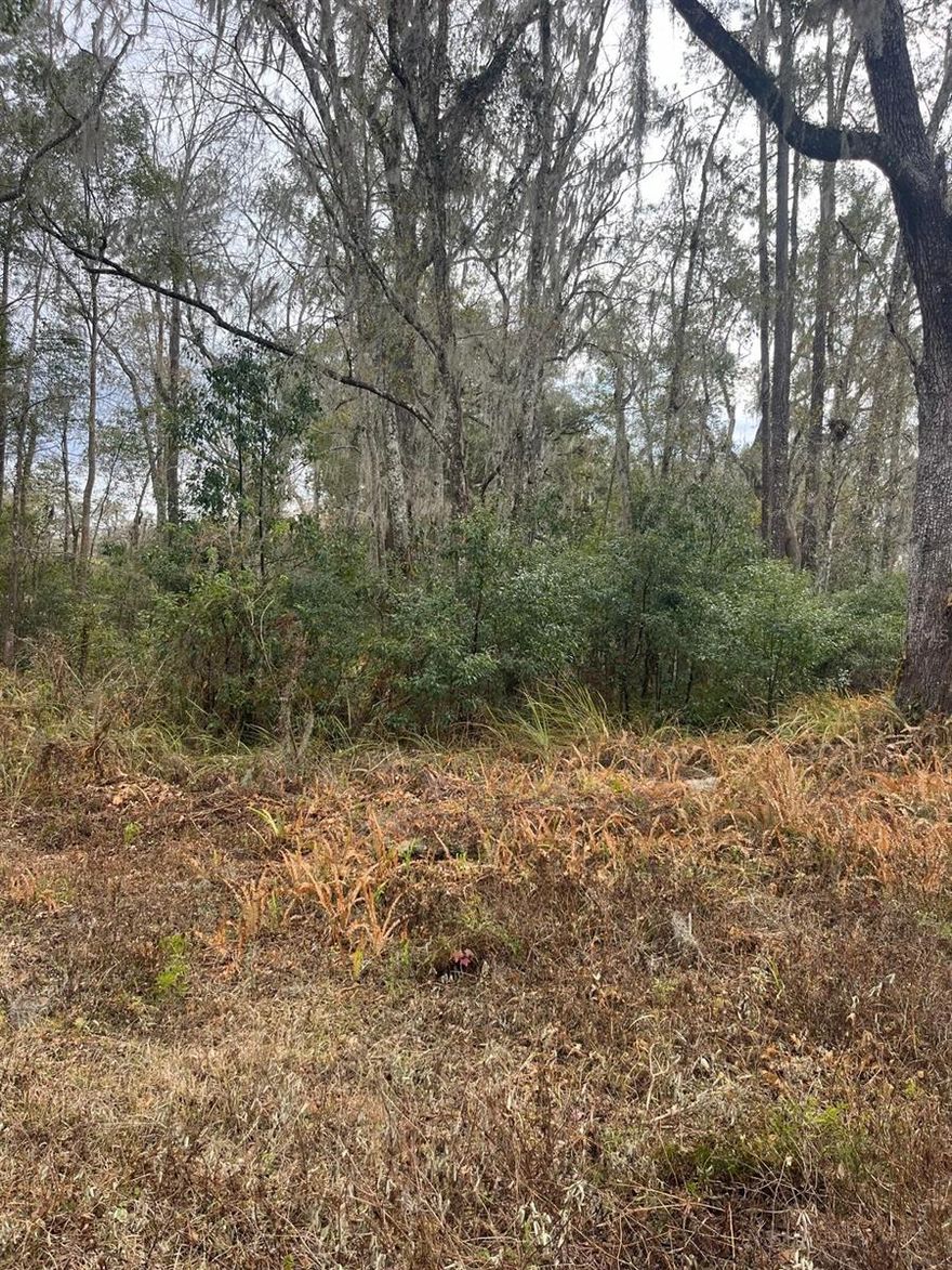 Rare vacant land opportunity on a generous parcel in Hernando County, ready for your vision. This property offers a peaceful and spacious setting with ample room for building your dream home, outdoor projects, or investment potential. Located near major roadways and everyday conveniences while still providing a quiet rural feel. Take advantage of flexible possibilities with no structures currently on the site — perfect for custom development, personal use, or long-term holding. Don’t miss out on this great piece of land with strong potential in a growing area.