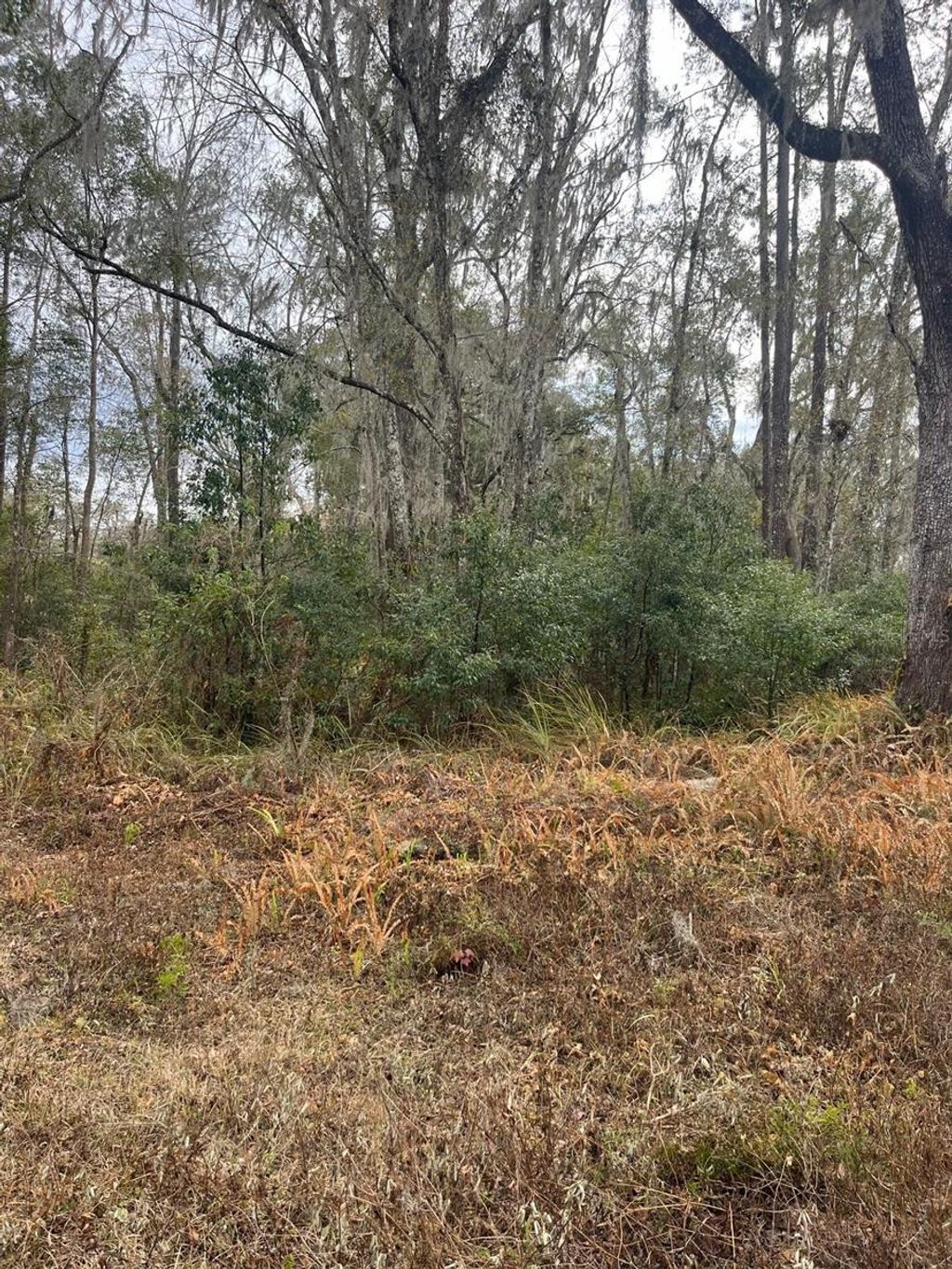 Photo of Ward Avenue, Brooksville, FL 34601 (MLS # S5143895)