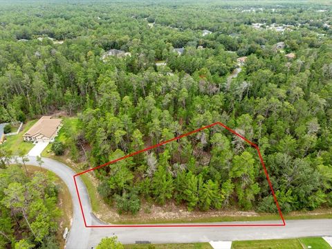 80 BELLS OF IRELAND COURT HOMOSASSA FL 34446