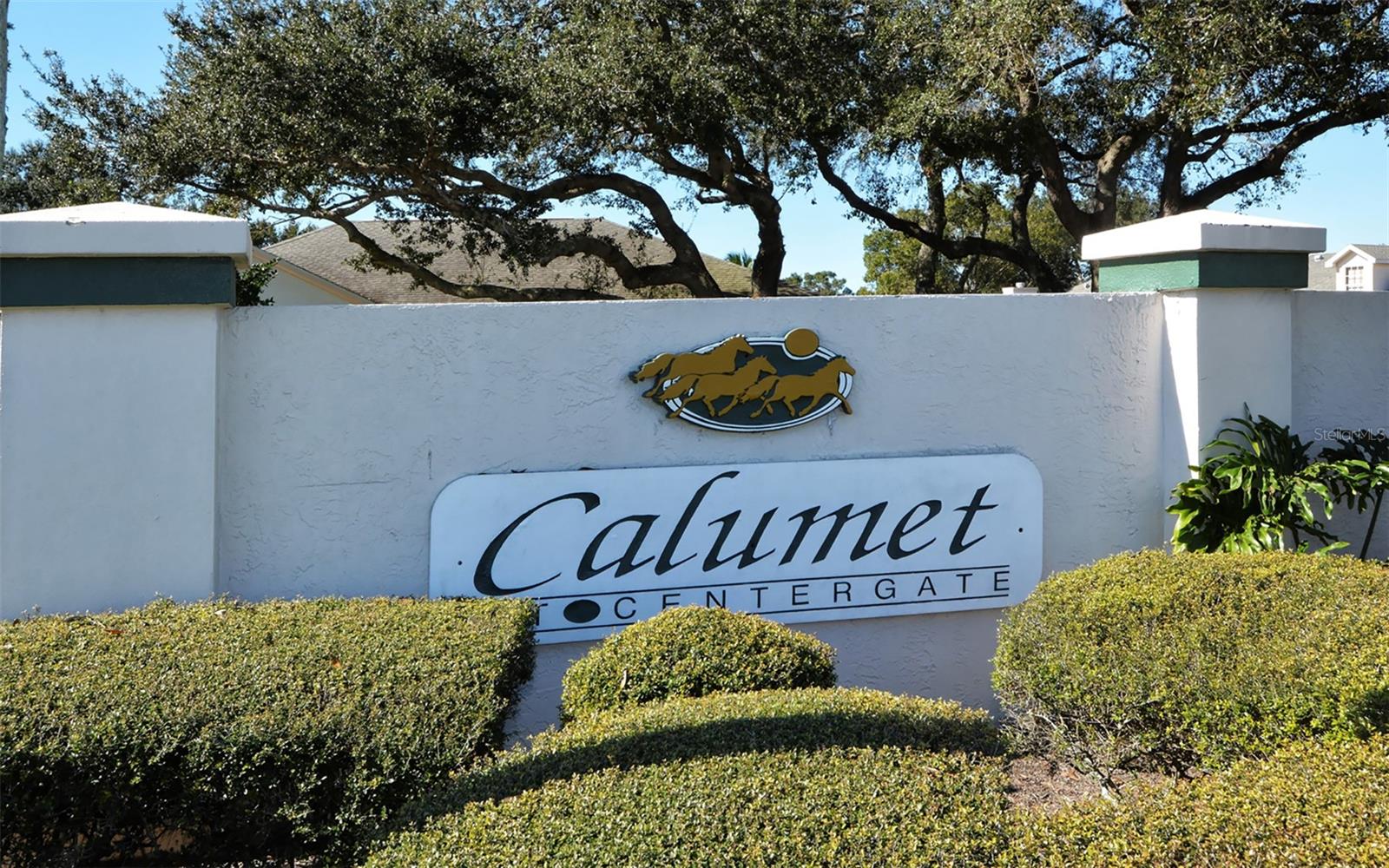 4504 CITATION LANE C