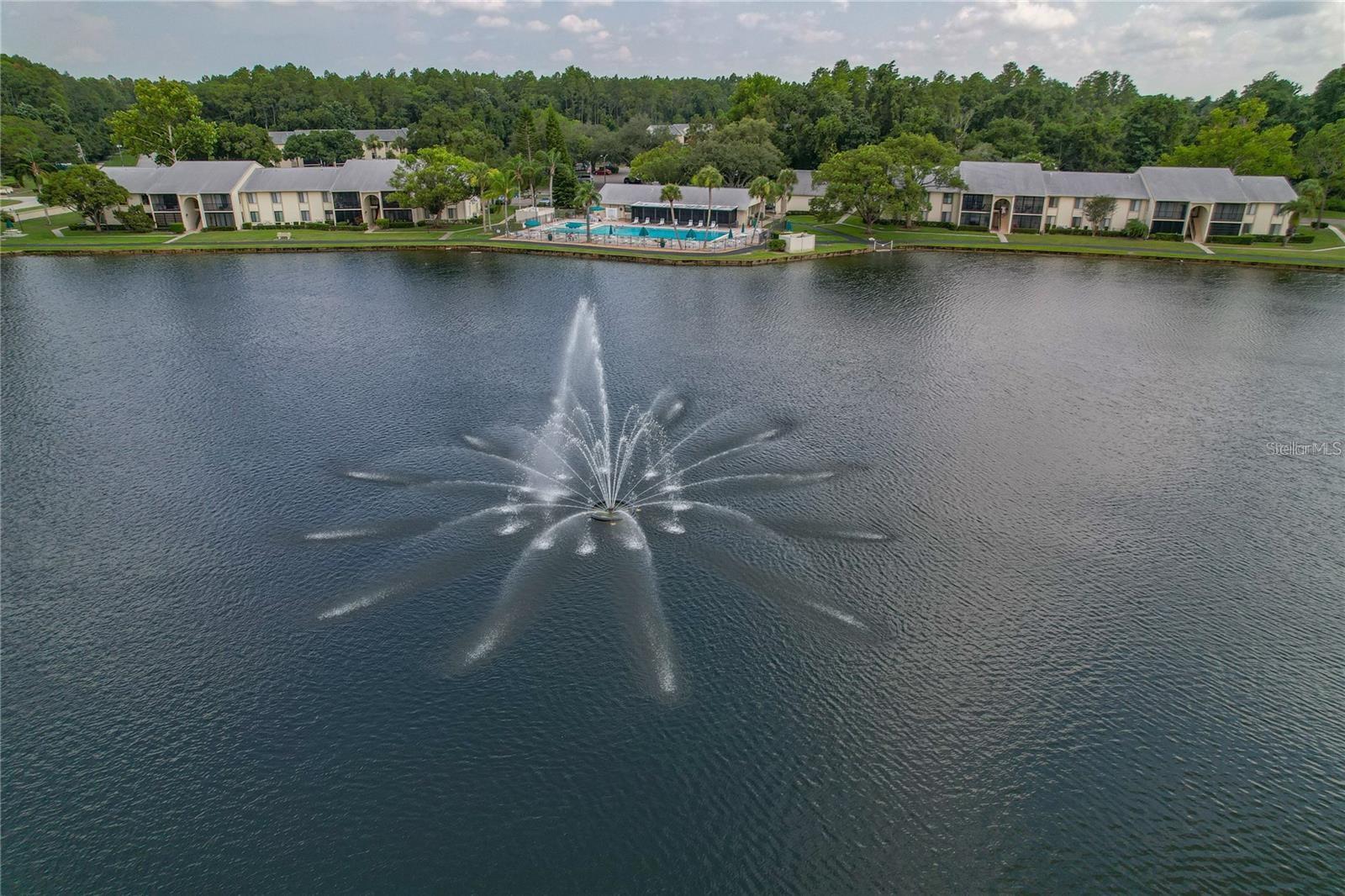 PINE RIDGE AT LAKE TARPON VILLAGE - Residential