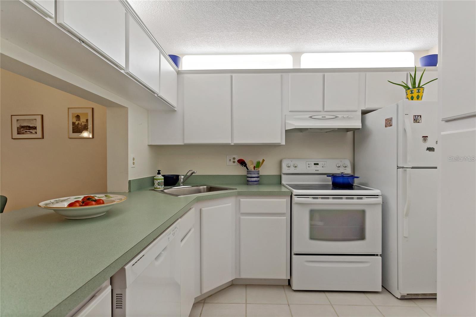 PINE RIDGE AT LAKE TARPON VILLAGE - Residential