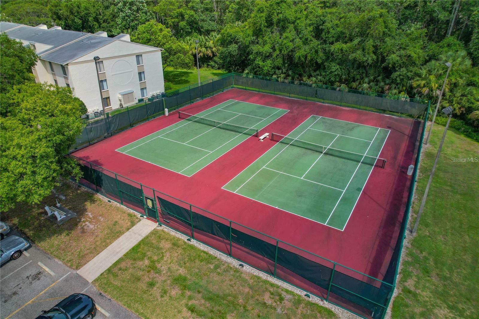 PINE RIDGE AT LAKE TARPON VILLAGE - Residential