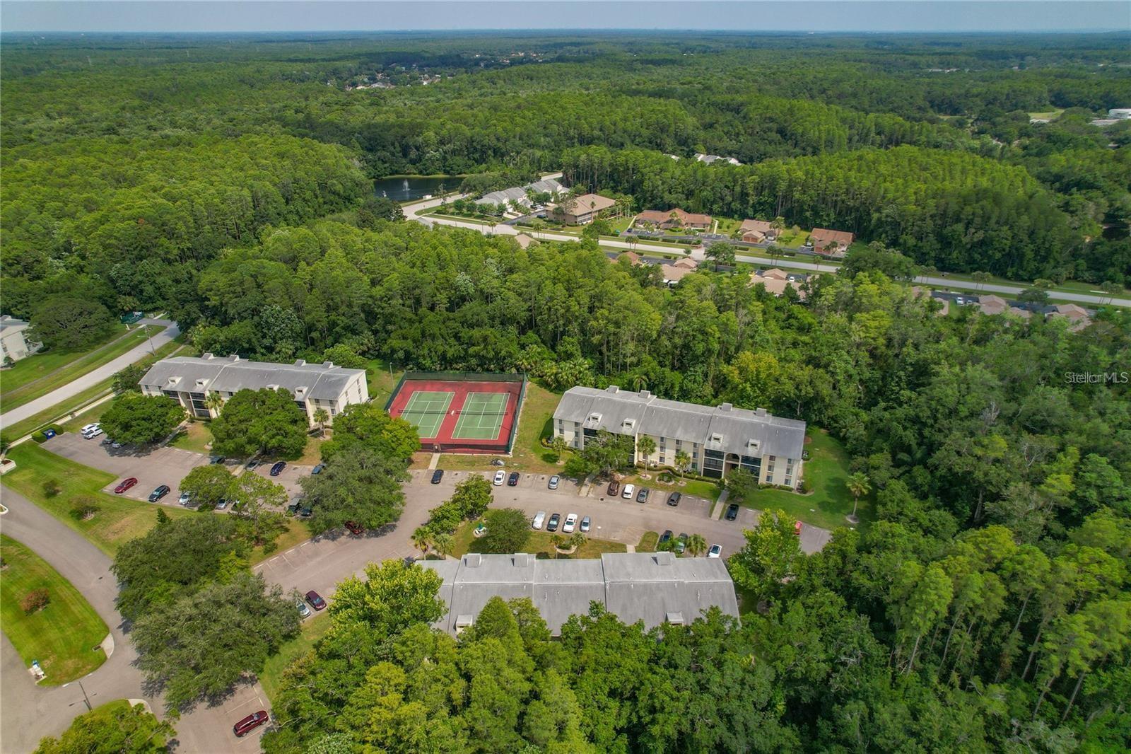 PINE RIDGE AT LAKE TARPON VILLAGE - Residential