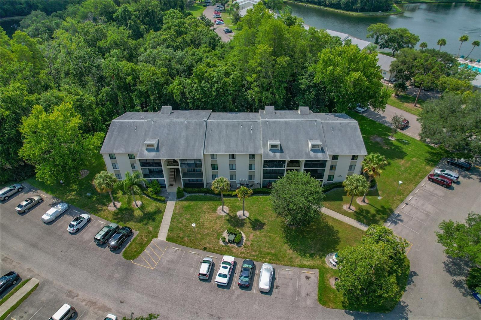 PINE RIDGE AT LAKE TARPON VILLAGE - Residential