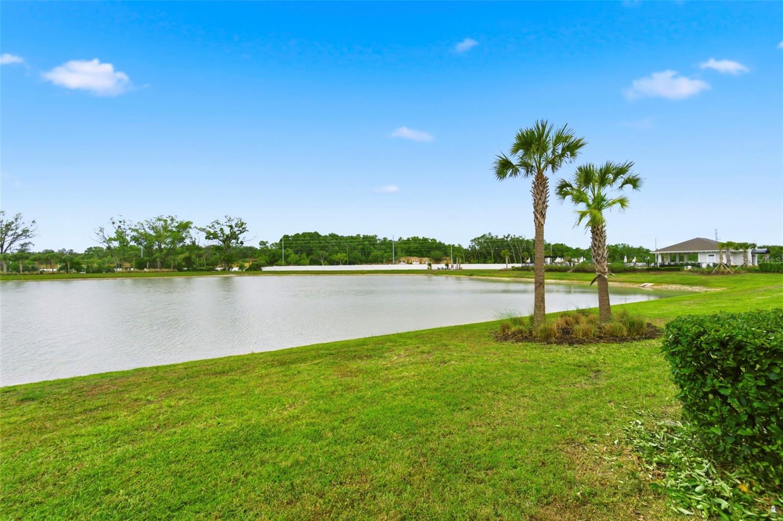 VOLANTI - Residential