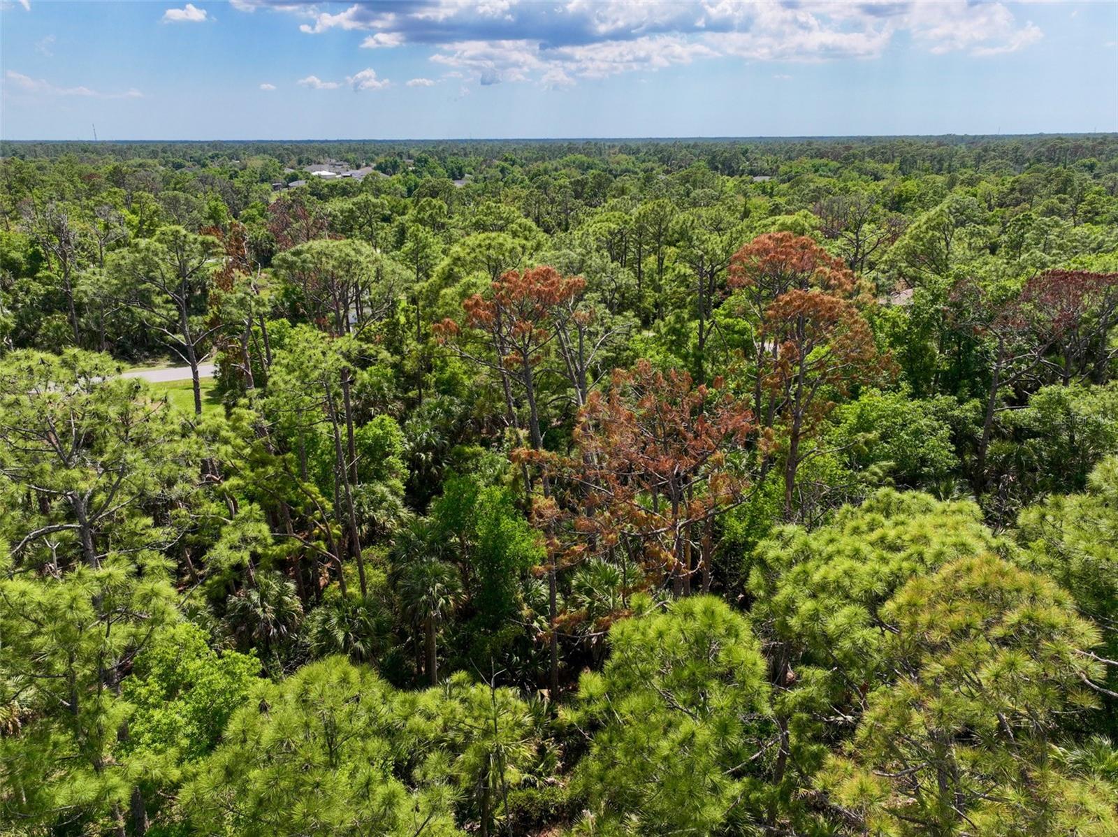 PORT CHARLOTTE SUB 25 - Land