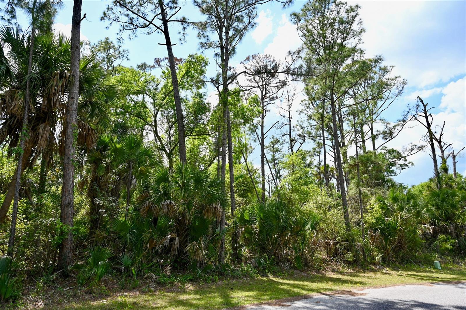 PORT CHARLOTTE SUB 25 - Land