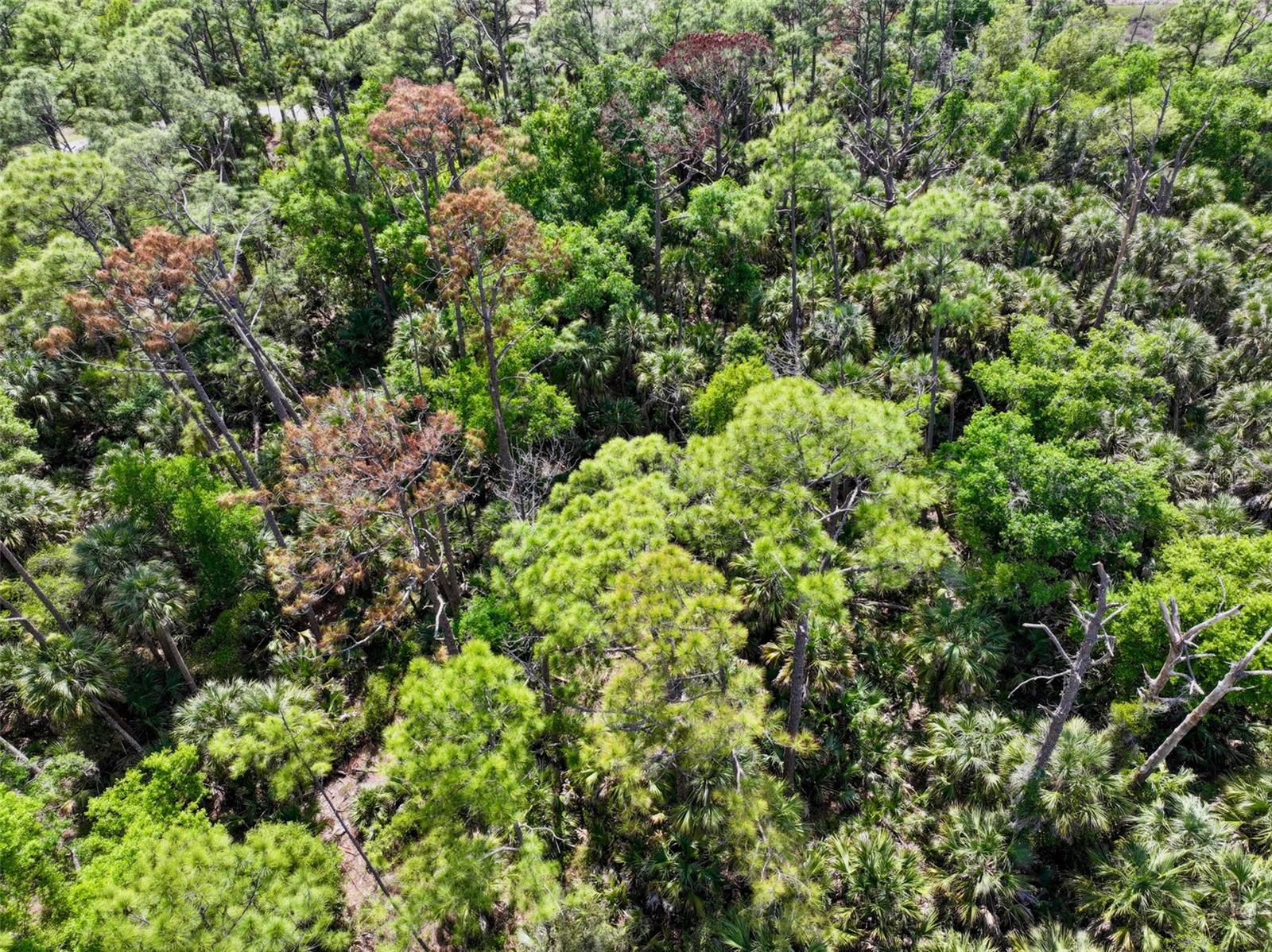 PORT CHARLOTTE SUB 25 - Land