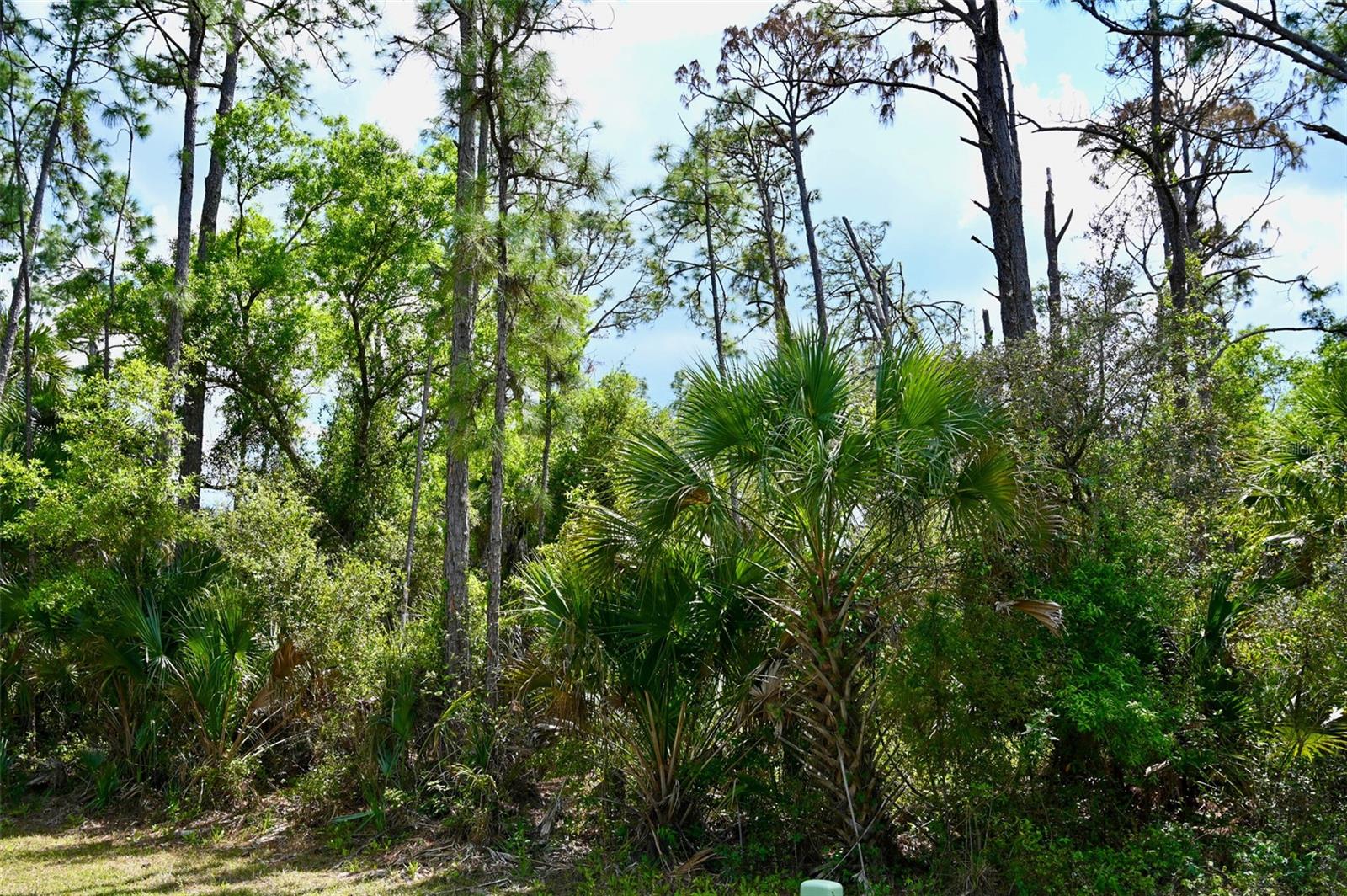 PORT CHARLOTTE SUB 25 - Land