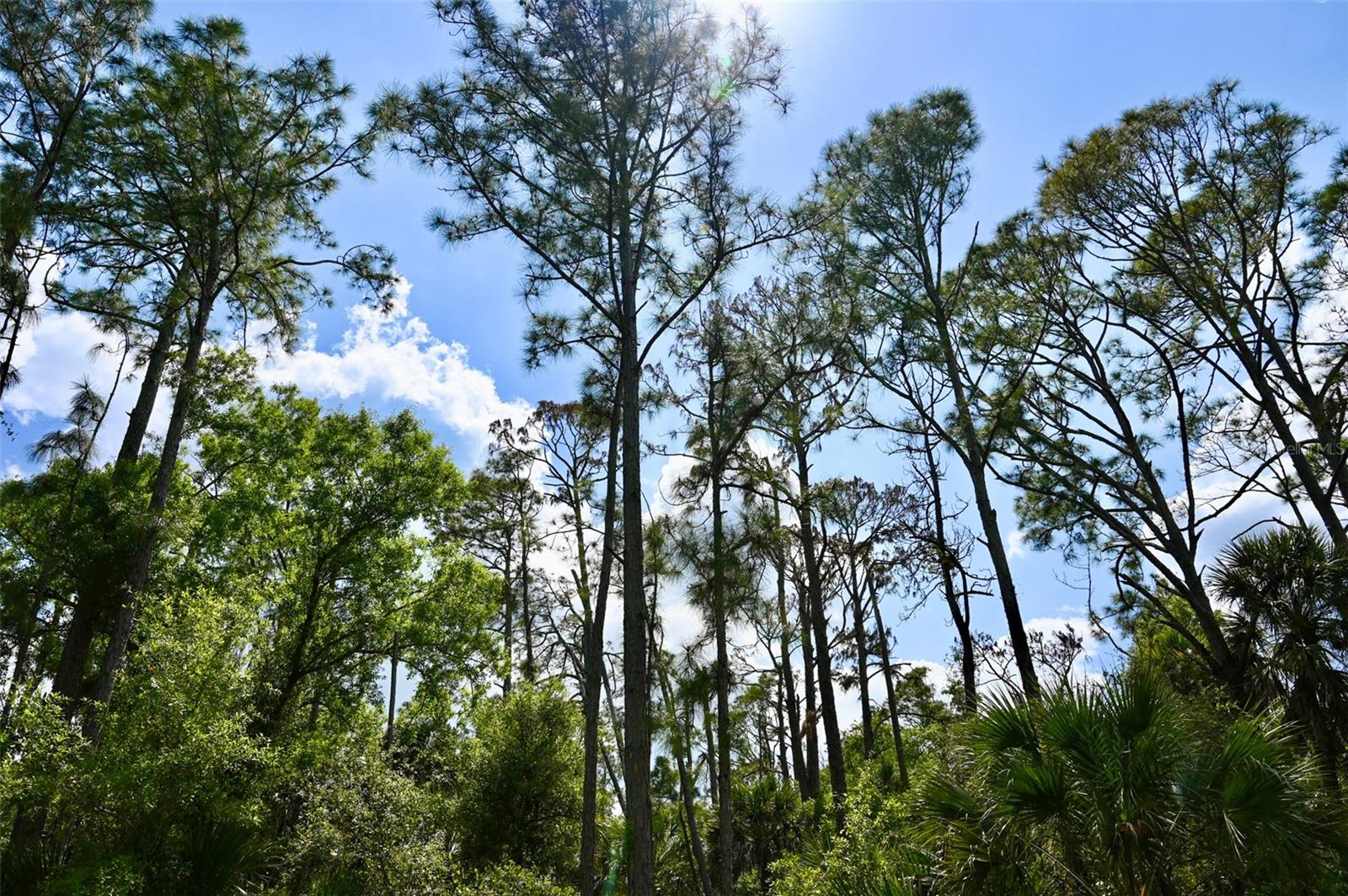 PORT CHARLOTTE SUB 25 - Land