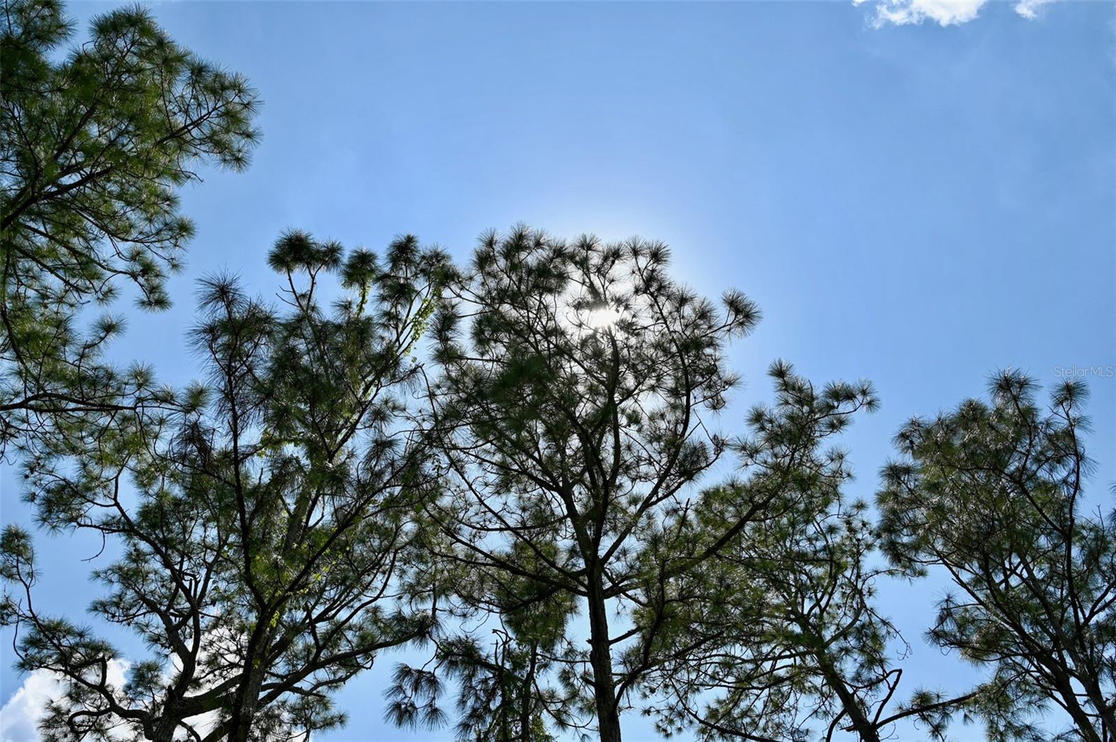 PORT CHARLOTTE SUB 25 - Land