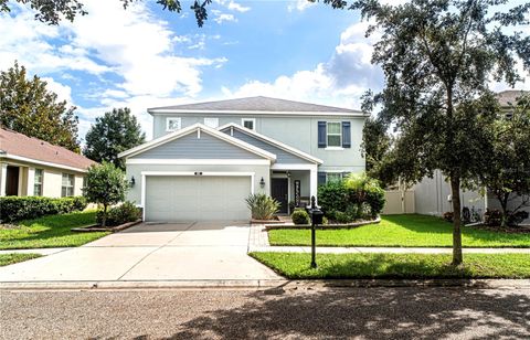 A home in LAND O LAKES