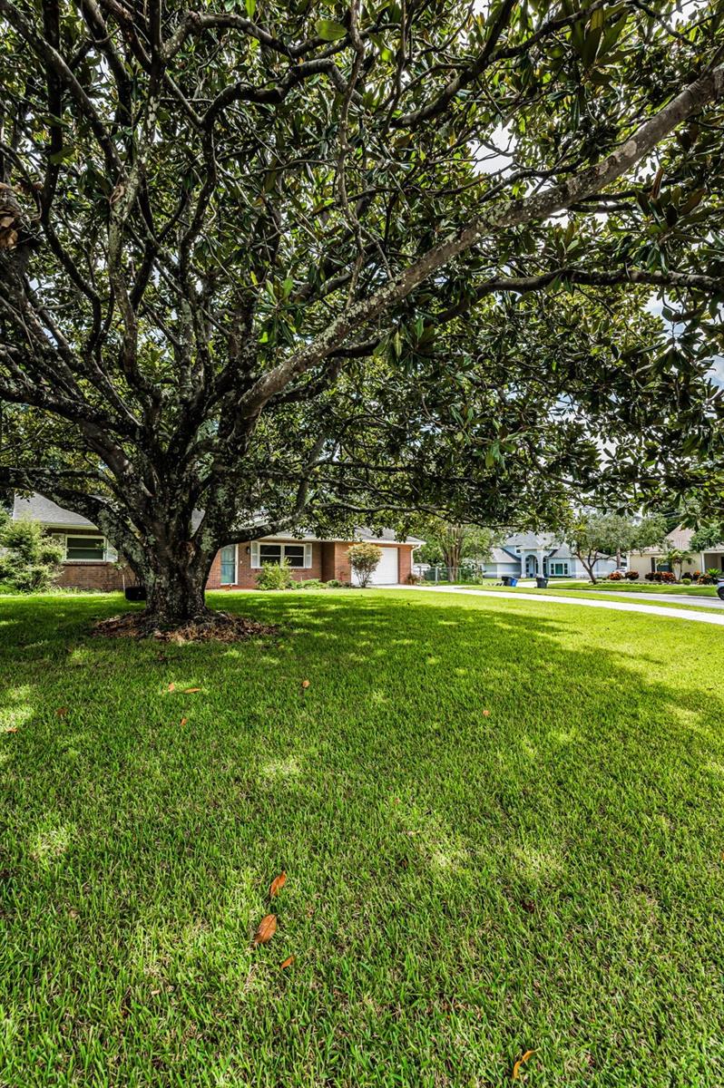 607 SPRING BLOSSOM COURT
