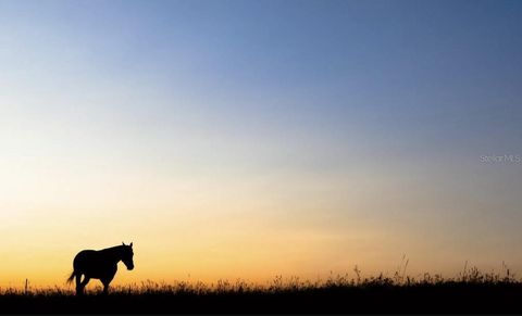 Tiny photo for 6001 N Elkcam Boulevard, Beverly Hills, FL 34465 (MLS # O6393018)