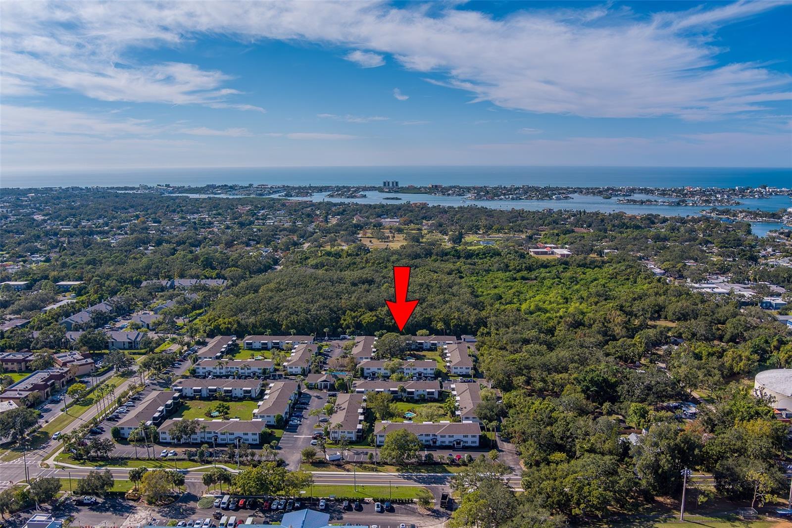 THE FOUNTAINS OF LARGO CONDO - Residential