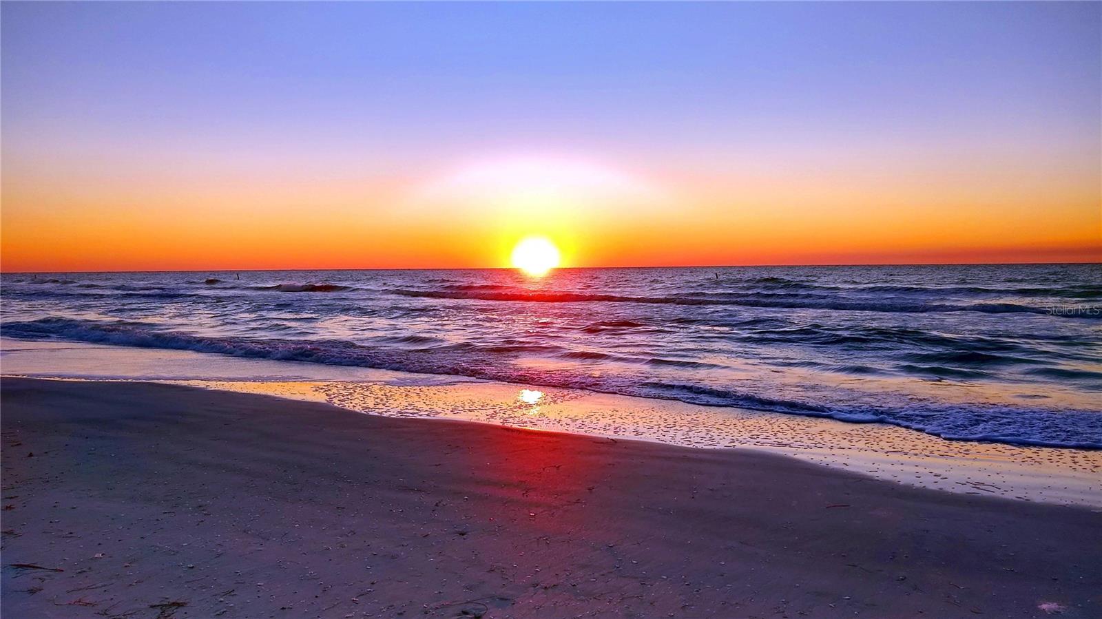 THE FOUNTAINS OF LARGO CONDO - Residential