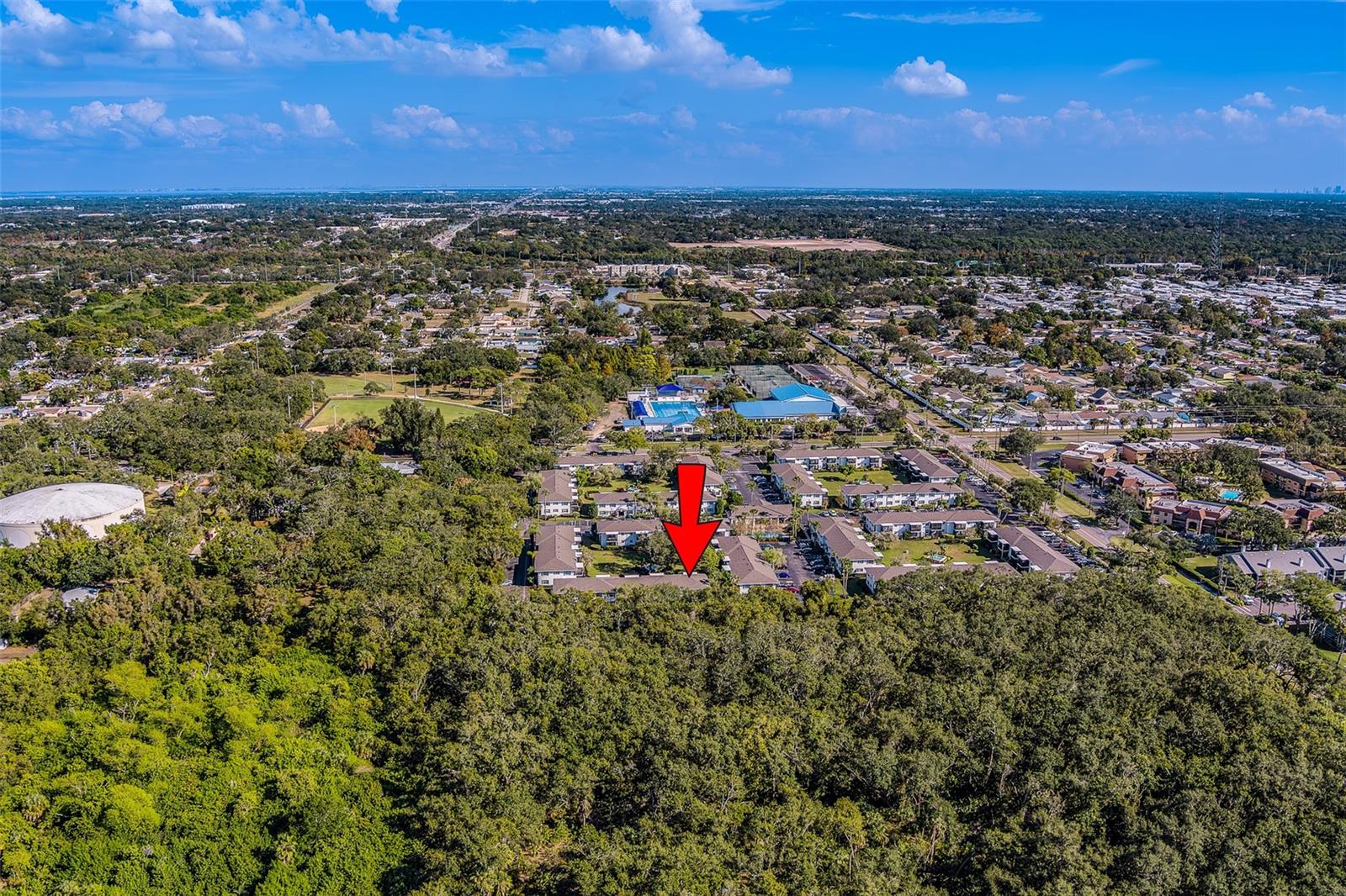 THE FOUNTAINS OF LARGO CONDO - Residential