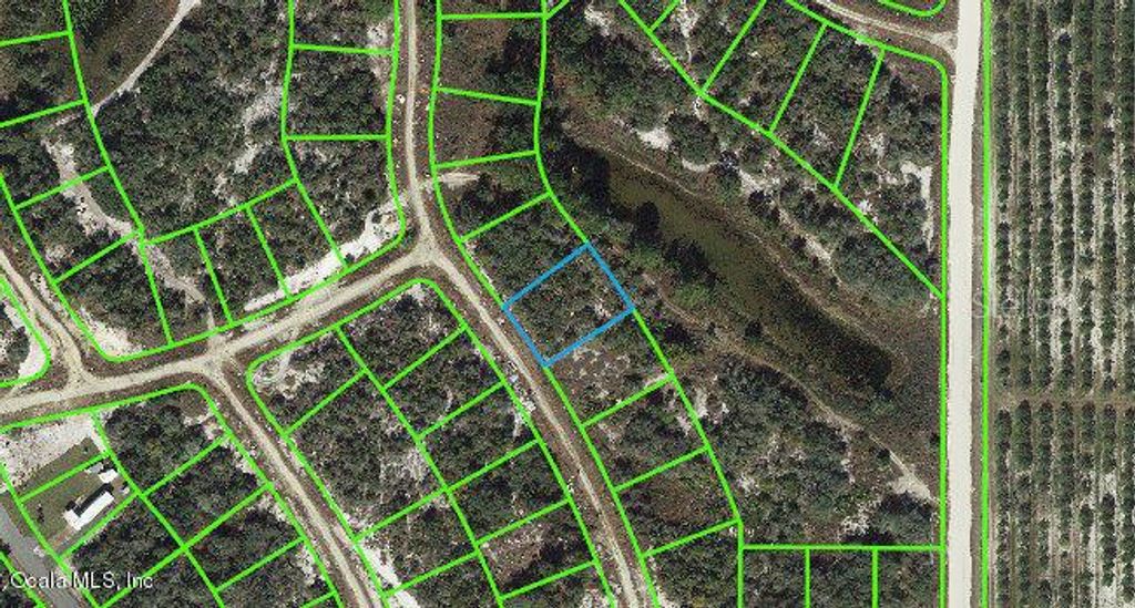 Photo of 119 Summer Oak Drive, Lake Placid, FL 33852 (MLS # OM542092)